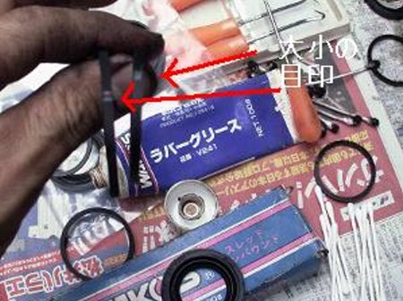 �V�[���召