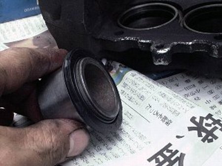 �_�X�g�u�[�c