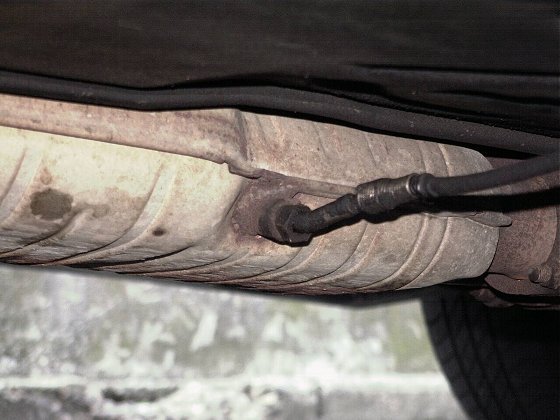 �r�C���x�Z���T�[