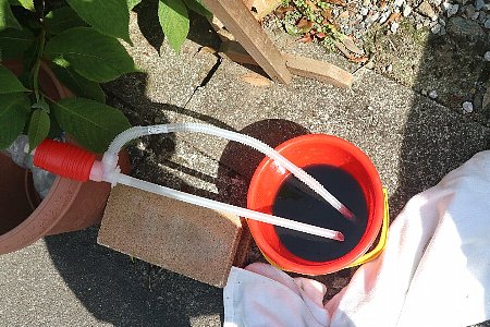 �N�[�����g