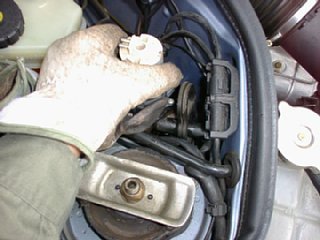 �z�[�X�O��